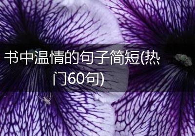 书中温情的句子简短(热门60句)