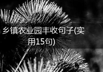 乡镇农业园丰收句子(实用15句)