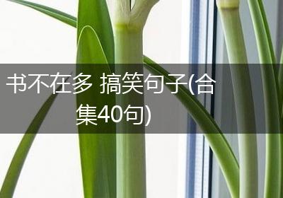书不在多 搞笑句子(合集40句)