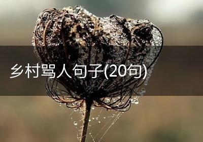 乡村骂人句子(20句)