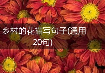 乡村的花描写句子(通用20句)