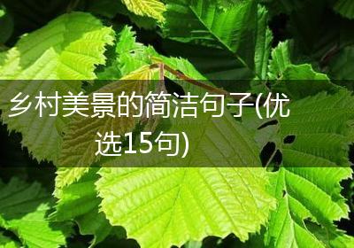 乡村美景的简洁句子(优选15句)