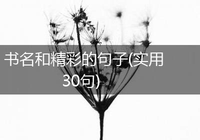 书名和精彩的句子(实用30句)