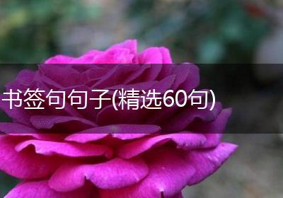 书签句句子(精选60句)