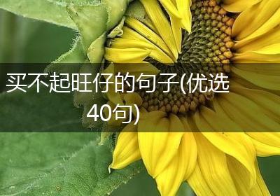 买不起旺仔的句子(优选40句)