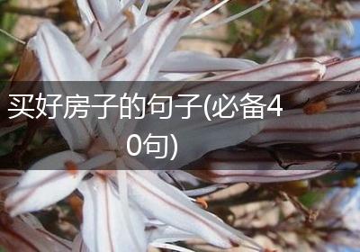 买好房子的句子(必备40句)