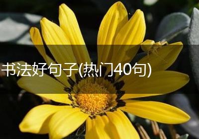 书法好句子(热门40句)