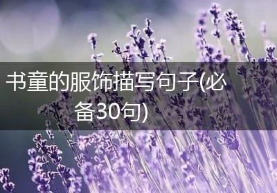 书童的服饰描写句子(必备30句)