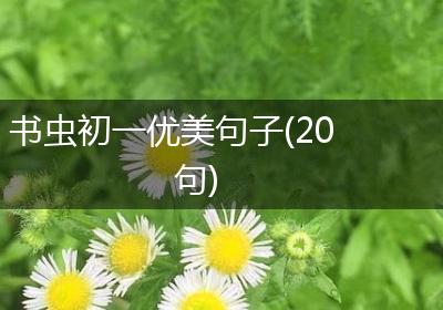 书虫初一优美句子(20句)