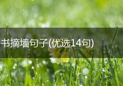 书摘墙句子(优选14句)