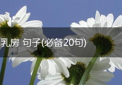 乳房 句子(必备20句)
