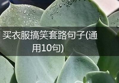 买衣服搞笑套路句子(通用10句)