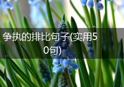 争执的排比句子(实用50句)