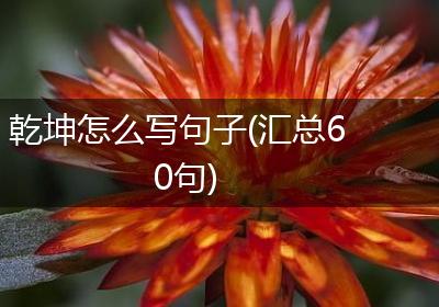 乾坤怎么写句子(汇总60句)