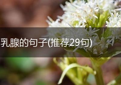 乳腺的句子(推荐29句)