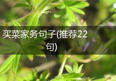 买菜家务句子(推荐22句)