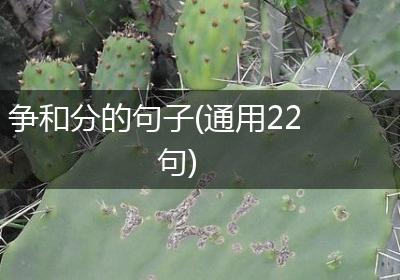 争和分的句子(通用22句)