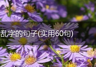 乱字的句子(实用60句)