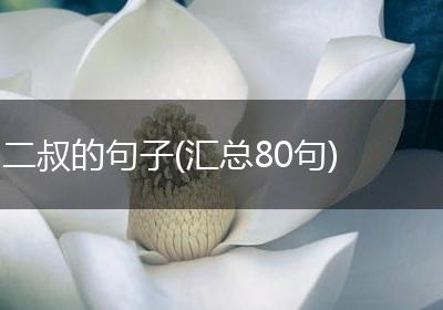 二叔的句子(汇总80句)