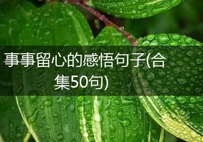 事事留心的感悟句子(合集50句)