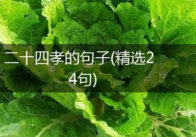 二十四孝的句子(精选24句)