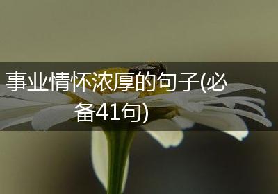 事业情怀浓厚的句子(必备41句)