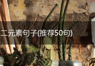 二元素句子(推荐50句)