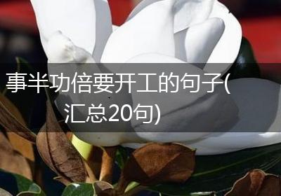 事半功倍要开工的句子(汇总20句)