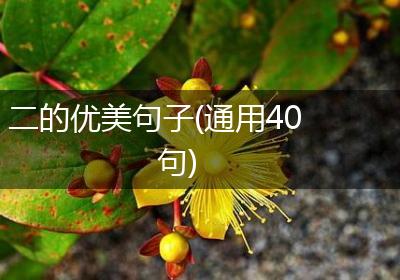 二的优美句子(通用40句)