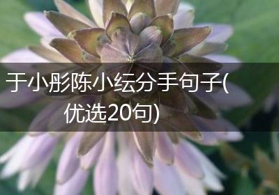 于小彤陈小纭分手句子(优选20句)