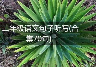 二年级语文句子听写(合集70句)