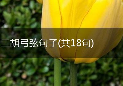 二胡弓弦句子(共18句)
