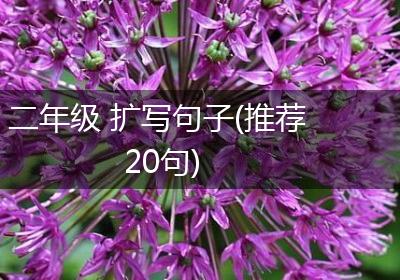 二年级 扩写句子(推荐20句)