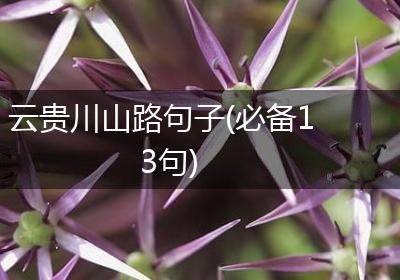 云贵川山路句子(必备13句)