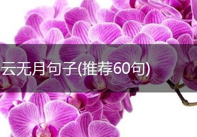 云无月句子(推荐60句)