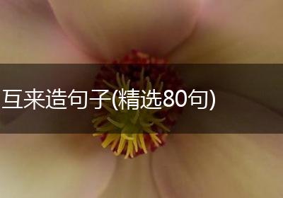 互来造句子(精选80句)