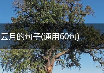 云月的句子(通用60句)