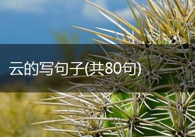 云的写句子(共80句)