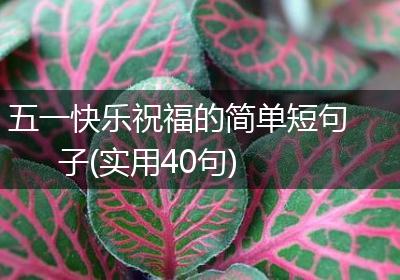 五一快乐祝福的简单短句子(实用40句)
