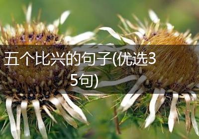 五个比兴的句子(优选35句)