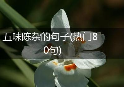五味陈杂的句子(热门80句)