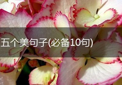 五个美句子(必备10句)