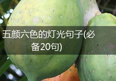 五颜六色的灯光句子(必备20句)