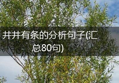 井井有条的分析句子(汇总80句)