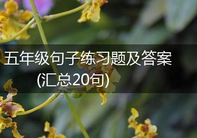 五年级句子练习题及答案(汇总20句)