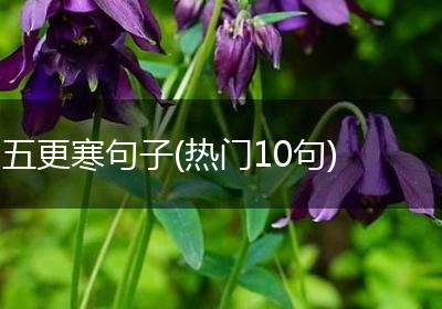 五更寒句子(热门10句)