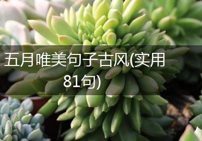 五月唯美句子古风(实用81句)