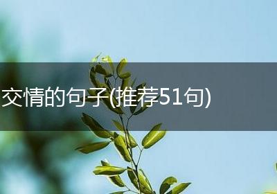 交情的句子(推荐51句)