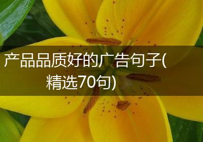 产品品质好的广告句子(精选70句)