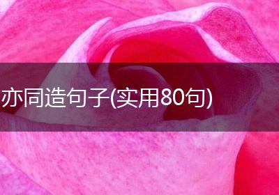 亦同造句子(实用80句)